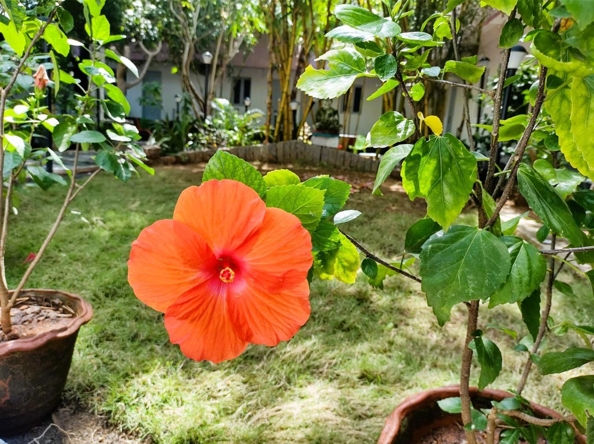 The Well Beach Side Guest House Auroville Dış mekan fotoğraf